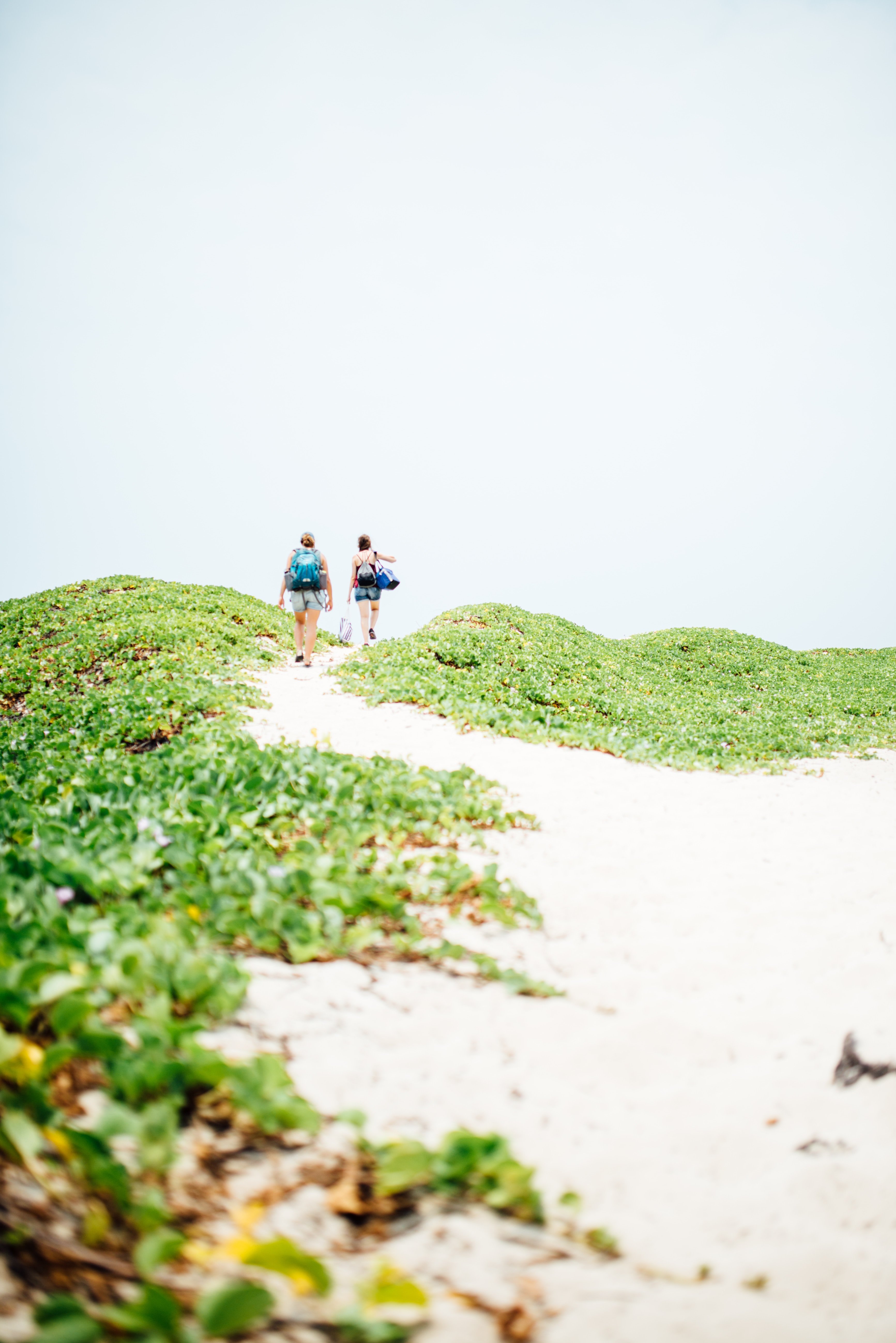 heather morse QyuHWSUPcLc unsplash