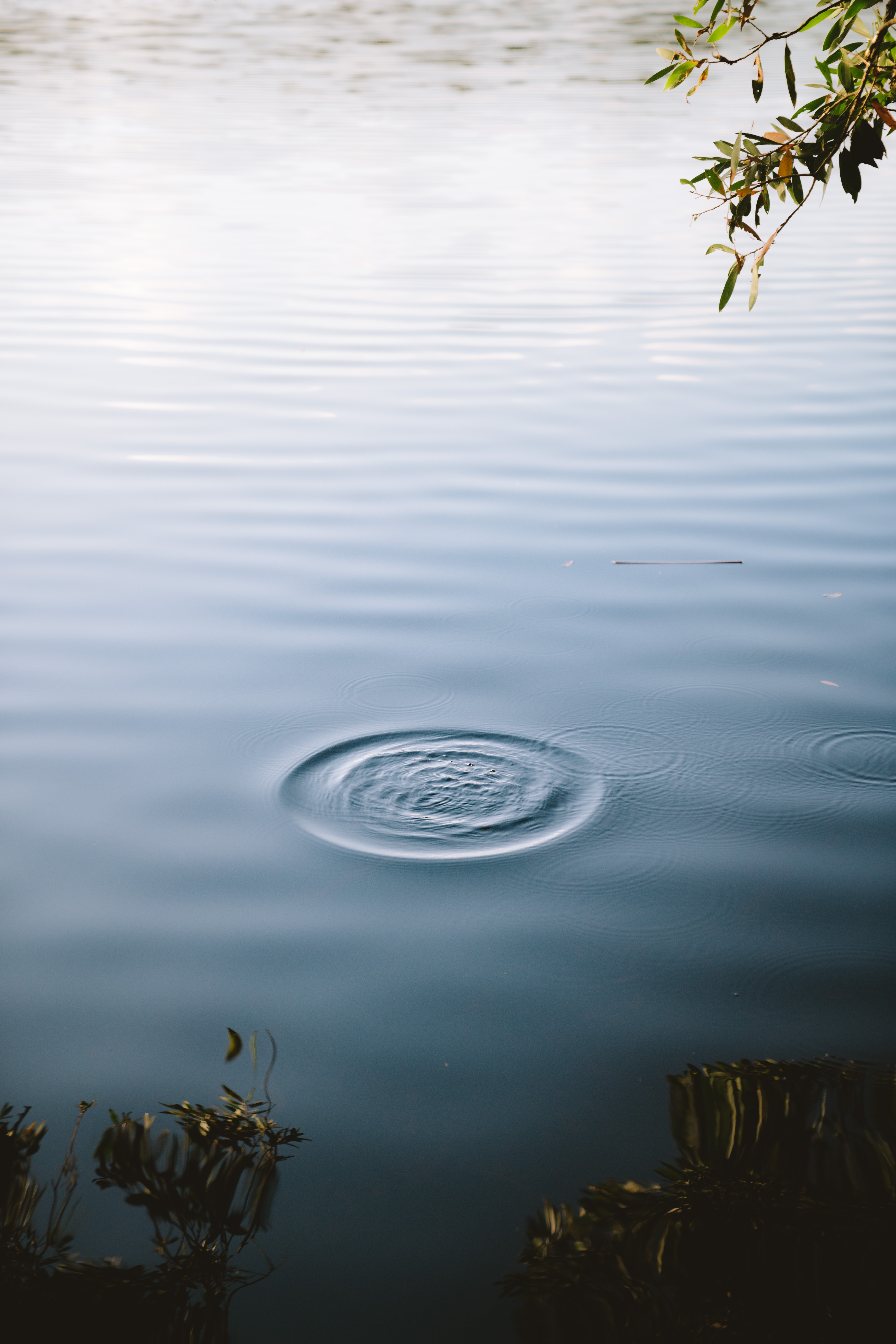 jake charles dwVToFjYJOo unsplash