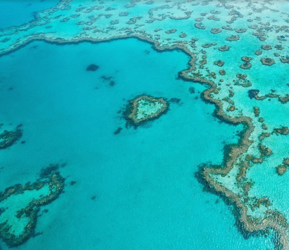 Great Barrier Reef Tours